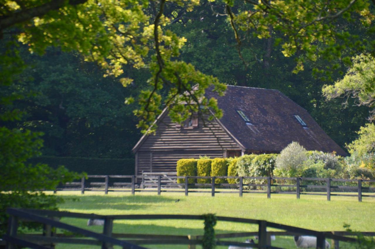 Апартаменты The Hideaway-South Downs National Park Graffham Экстерьер фото