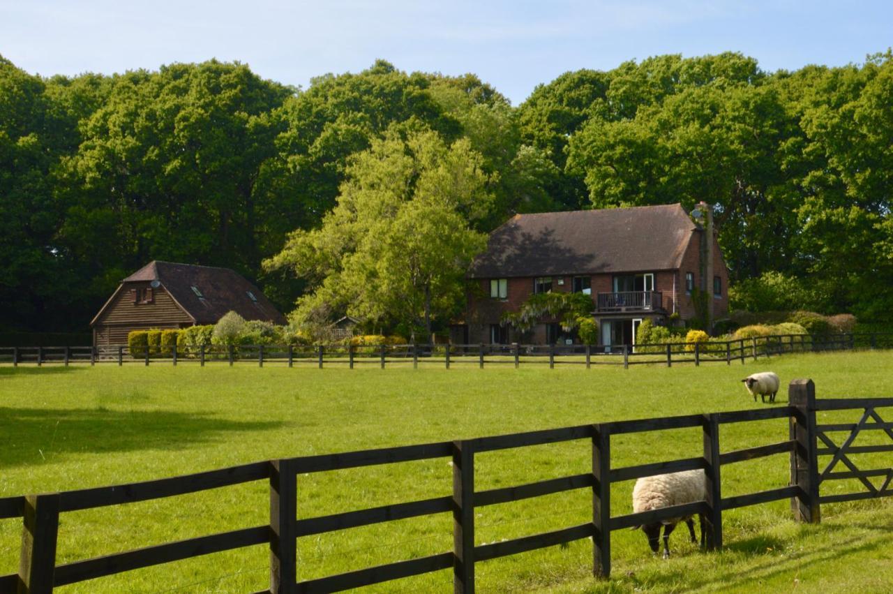 Апартаменты The Hideaway-South Downs National Park Graffham Экстерьер фото